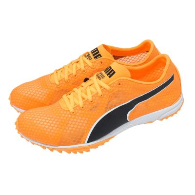 Puma 田徑釘鞋 EvoSpeed Haraka 8 男鞋 橘 黑 抓地 緩震 313591-01