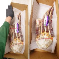華得水產 俄羅斯巨無霸(紅蟹)生凍鱈場蟹腳(2.3kg)/每