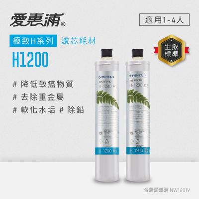 Everpure愛惠浦 愛惠浦 EVERPURE H1200活性碳濾芯(DIY更換)