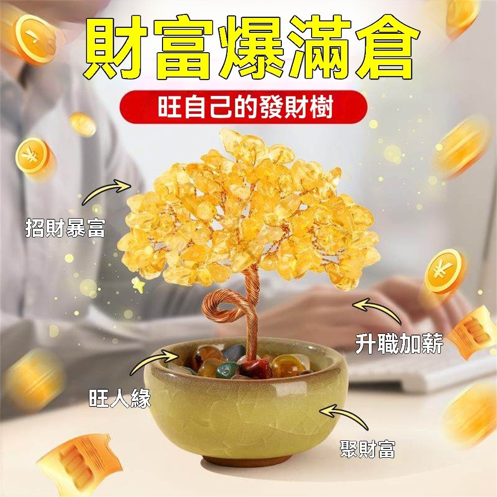 SHINKAWA新川】黃水晶招財發財樹聚寶盆| 日用雜貨| Yahoo購物中心