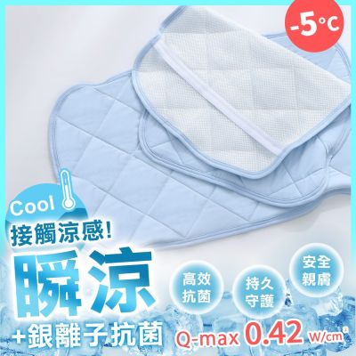 鴻宇 涼感-5度C 瞬涼銀離子 可洗抗菌枕頭保潔墊2入 枕巾枕墊 SUPERCOOL接觸涼感