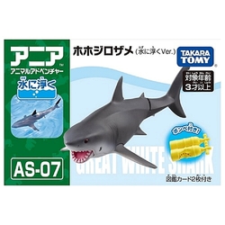 大白鯊 解體拼圖][動物系列]大白鯊 アガベ