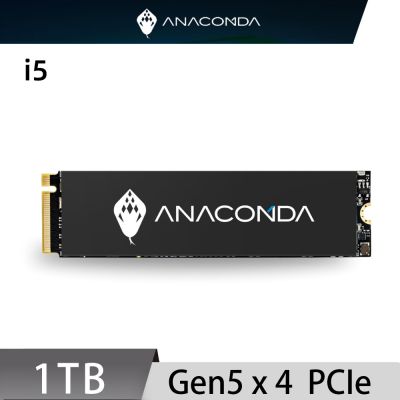 ANACOMDA 巨蟒 i5 1TB Gen 5x4 M.2 2280 PCIe SSD 固態硬碟
