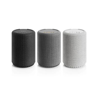 Audio Pro A10 MKII WiFi 無線 藍牙 喇叭 【加購支架】 音響 商業空間 TM10 軌道燈 軌道支架 公司貨