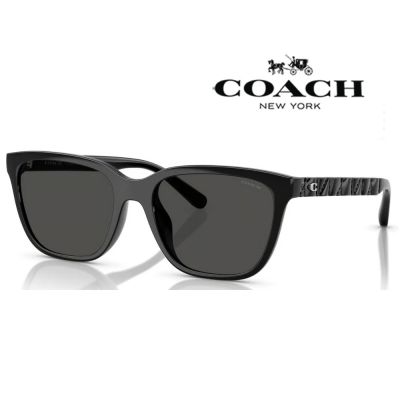 【COACH】亞洲版 時尚太陽眼鏡 精緻立體鏡臂設計 HC8429D 500287 黑框深灰鏡片 公司貨(加贈掛式眼鏡袋)
