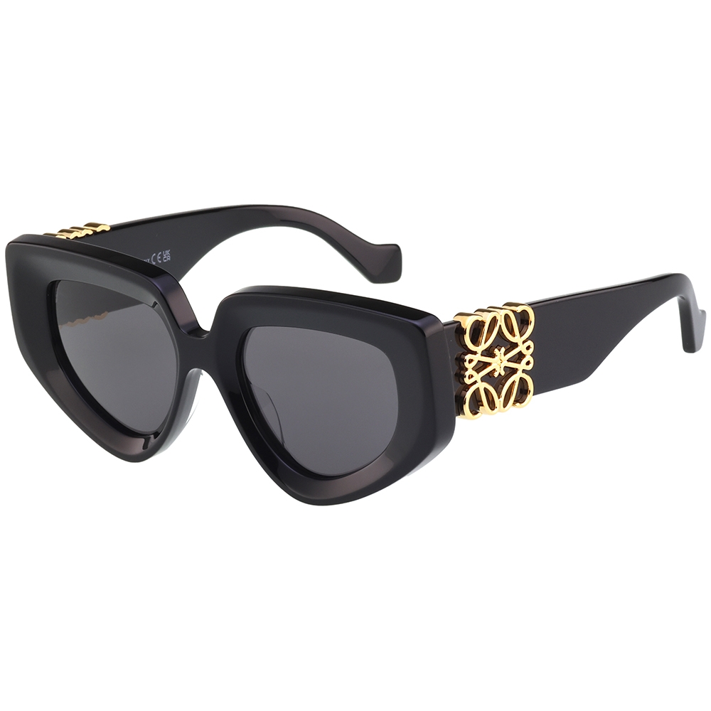 LOEWE 太陽眼鏡(黑色)LW40154U