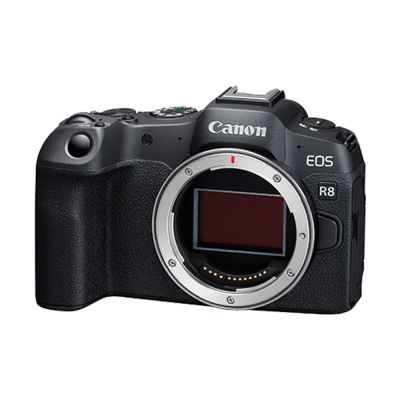 Canon 佳能 Canon EOS R8 單機身 公司貨