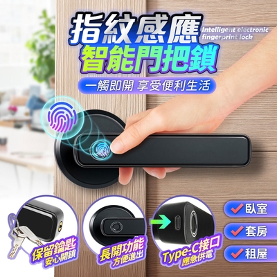FJ多功能指紋感應防盜電子鎖CK12(支援Type-C應急供電)