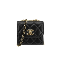 CHANEL
イルミネイティングブラッシュパウダー 151.788 3E3683FF42-SP-16803916.jpg