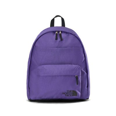 The North Face 北臉 後背包 運動包 書包 旅行包 大容量 雙層 CITY DAYPACK 紫 NF0A8AMMS96