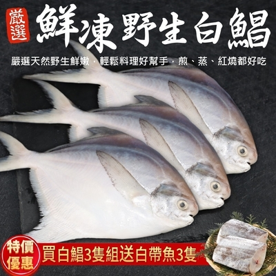 【海陸管家】鮮嫩野生白鯧魚3尾(每尾220g-280g)贈白帶魚