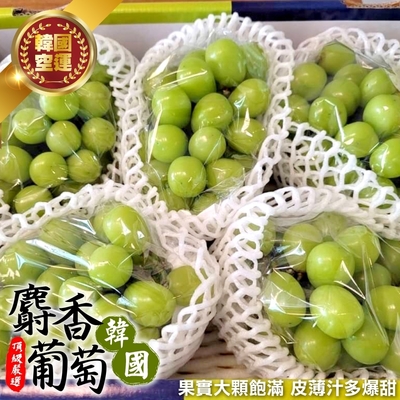 【天天果園】韓國麝香綠葡萄特大串1盒(每盒約600-700g)