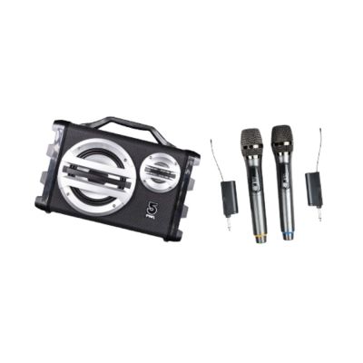 【ifive】 隨身卡拉OK音響 if-SK055-無線麥克風組合