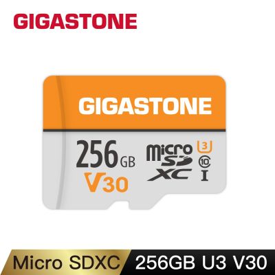 Gigastone Micro SD V30 256GB記憶卡