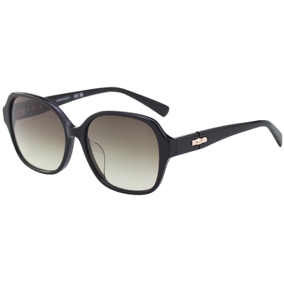 LONGCHAMP 太陽眼鏡(黑色)LO726S