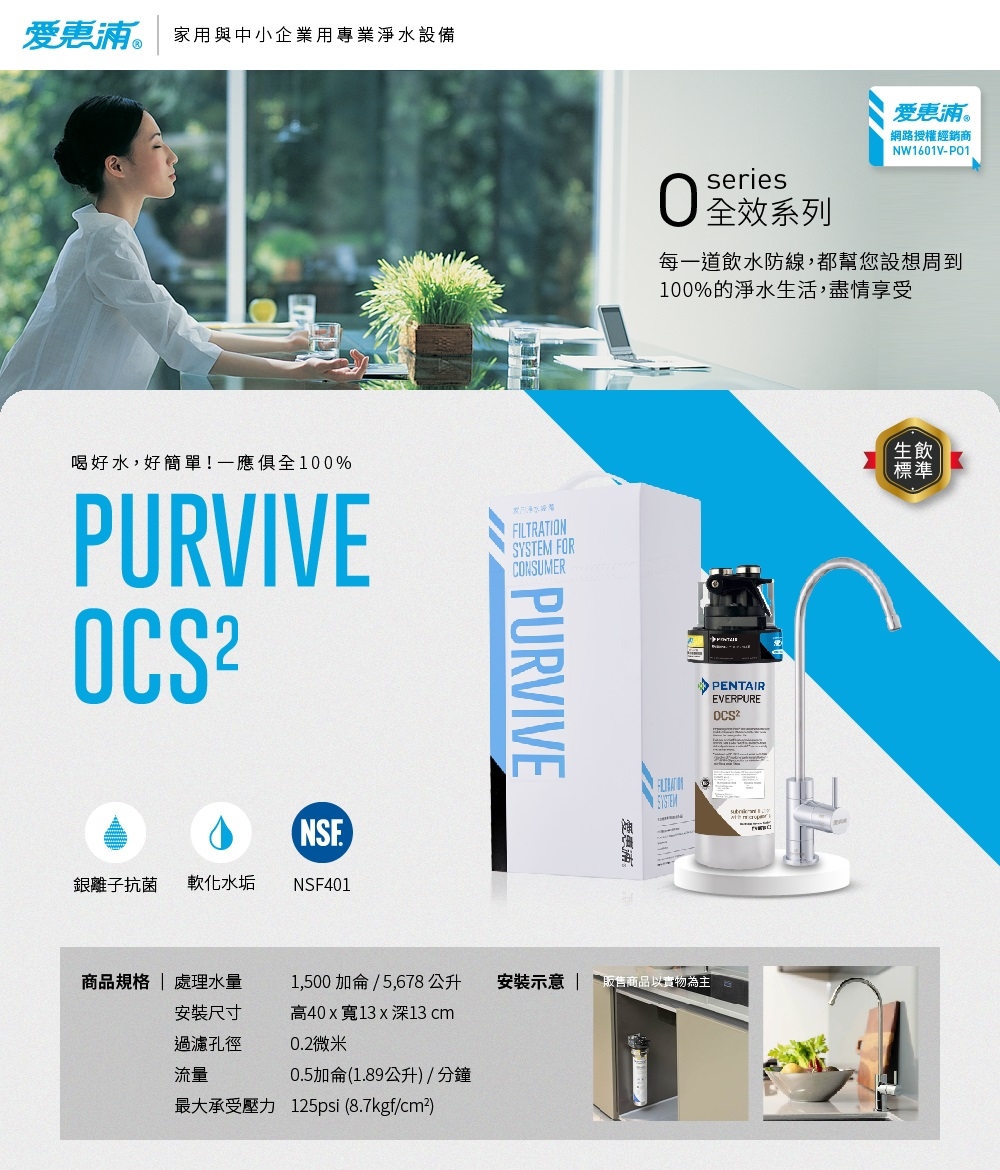 Everpure愛惠浦 OCS2 - 詳情8