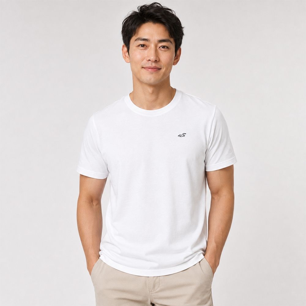 Hollister 海鷗 熱銷刺繡海鷗素面短袖T恤-白色