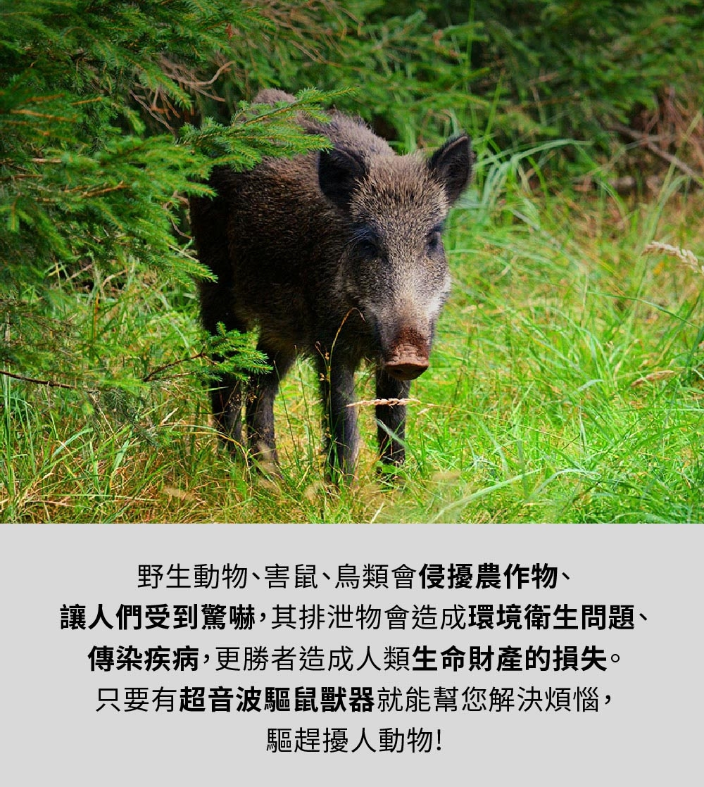 DigiMax UP-1L11 - 詳情3