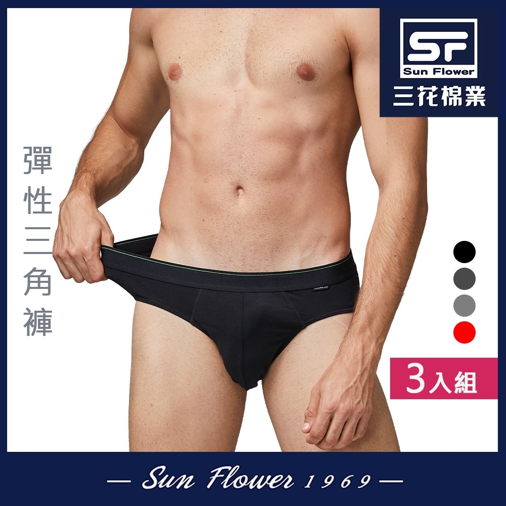 男內褲 三花SunFlower彈性男三角褲(3件組) (L)