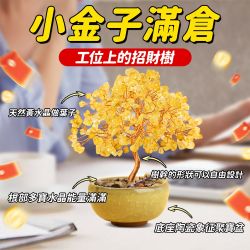 SHINKAWA新川】黃水晶招財吸金黃水金發財樹| 日用雜貨| Yahoo購物中心