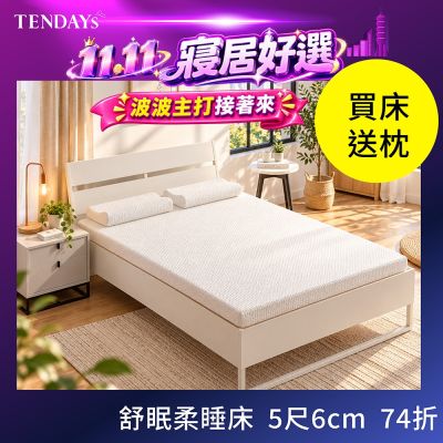 【TENDAYS】舒眠柔睡紓壓床墊5尺標準雙人(6cm厚 記憶棉層+高Q彈纖維層)-買床送枕