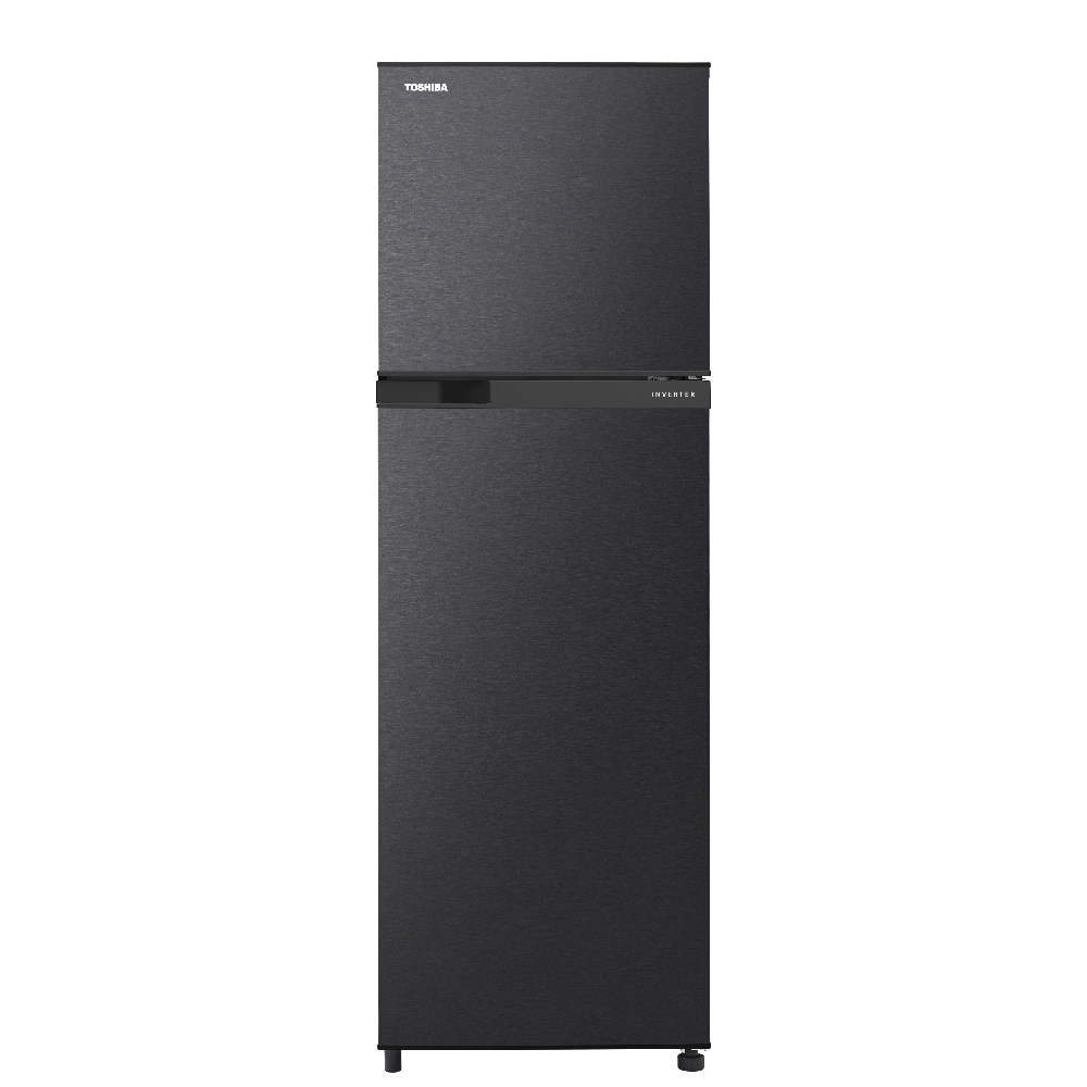 Toshiba GR-B31TP