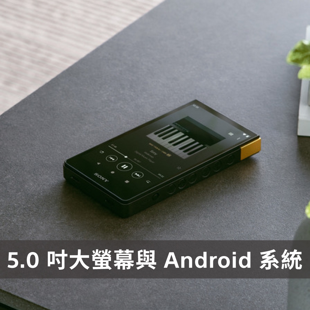 no none樣 專用 SONY NW-ZX707 高解析音質Walkman 數位隨身聽| SONY | Yahoo購物中心