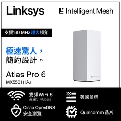 【Linksys 網路設備】限定下殺96折