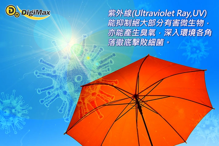 DigiMax DP-3X6 - 詳情6