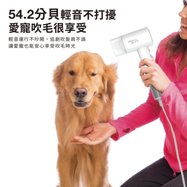 Bianco di puro彼安特 HD050 - 詳情9