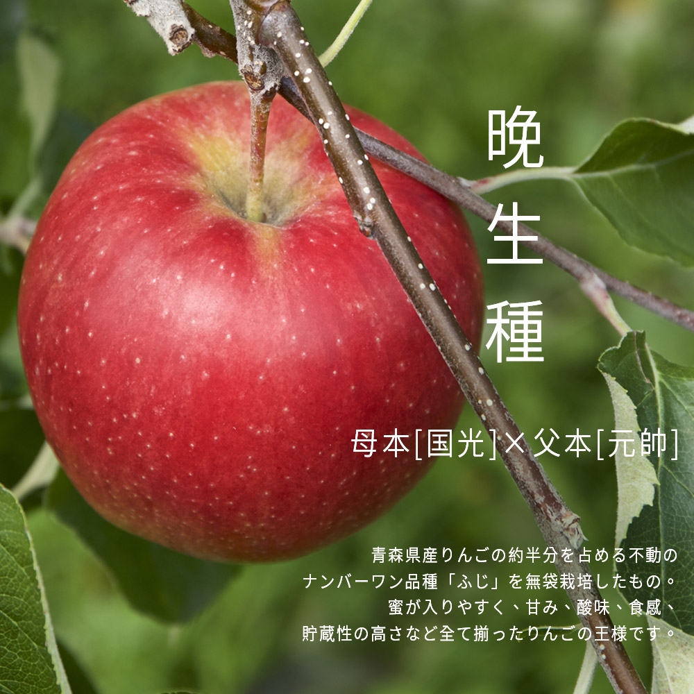 苹果 アップル(Apple) MMN000002 Macmini 8コアCPU 10コアGPU AppleM2チップ