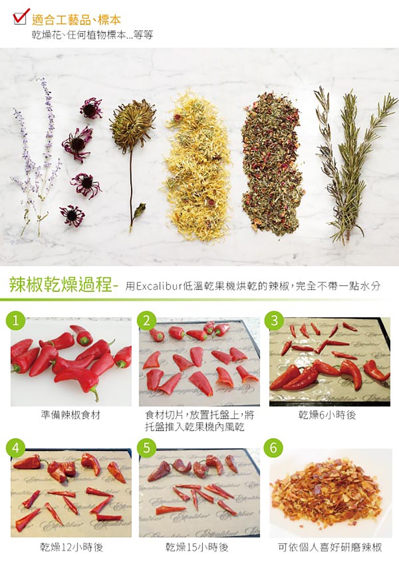 Excalibur依卡莉柏 3926TCDB - 詳情2