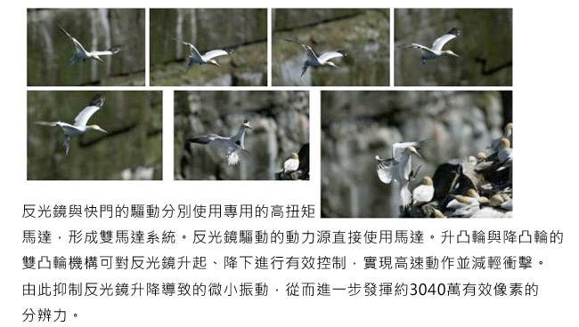 Canon佳能 5D Mark IV - 詳情4