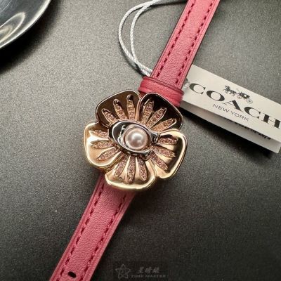 COACH手錶,女錶,28mm錶徑,編號:CH00178