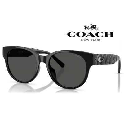 【COACH】亞洲版 時尚太陽眼鏡 立體菱格紋鏡臂設計 HC8430D 500287 黑框深灰鏡片 公司貨(加贈掛式眼鏡袋)