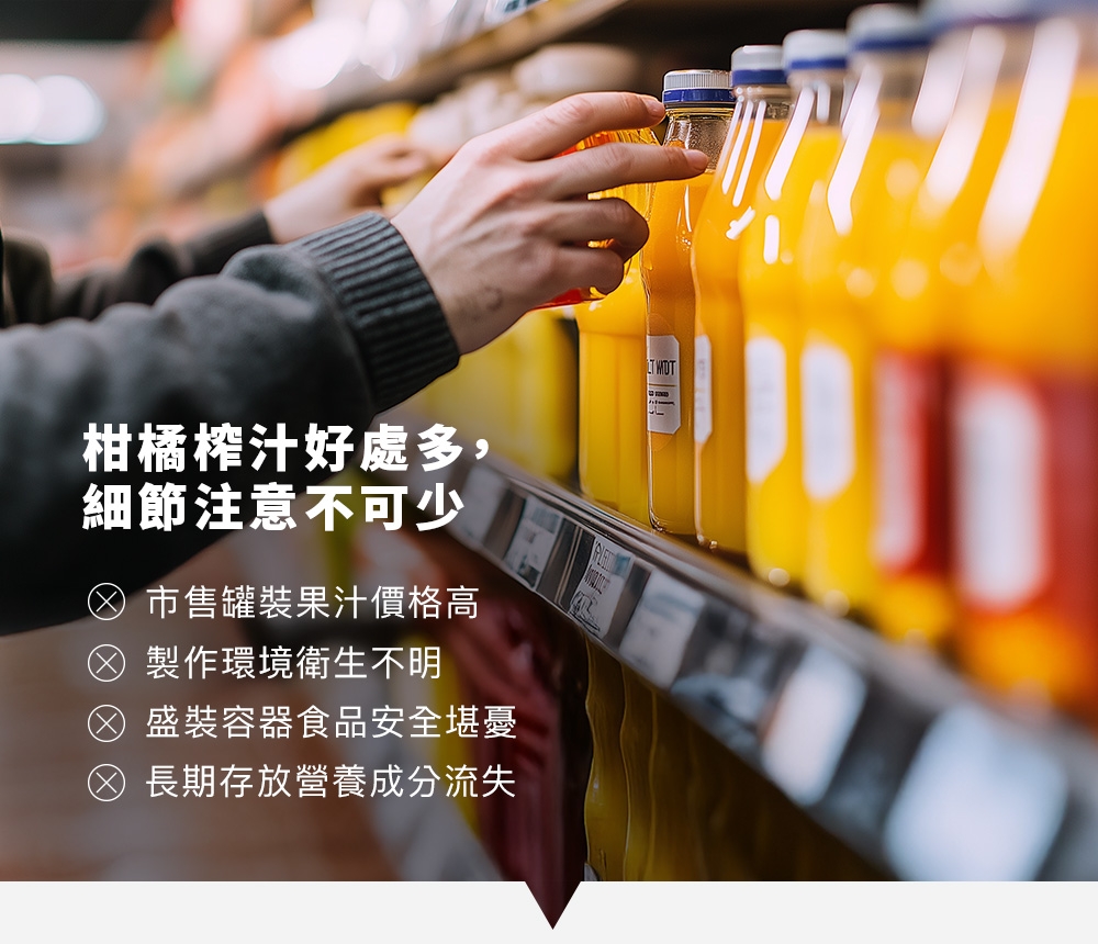 PRINCESS荷蘭公主 201851 - 詳情5