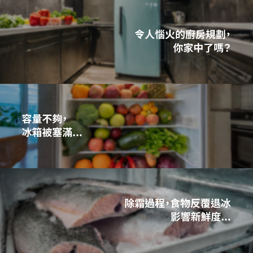 GE奇異 GSS23GGPWW - 詳情3