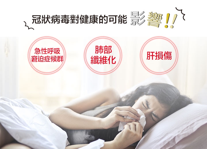 DigiMax DP-3X6 - 詳情7