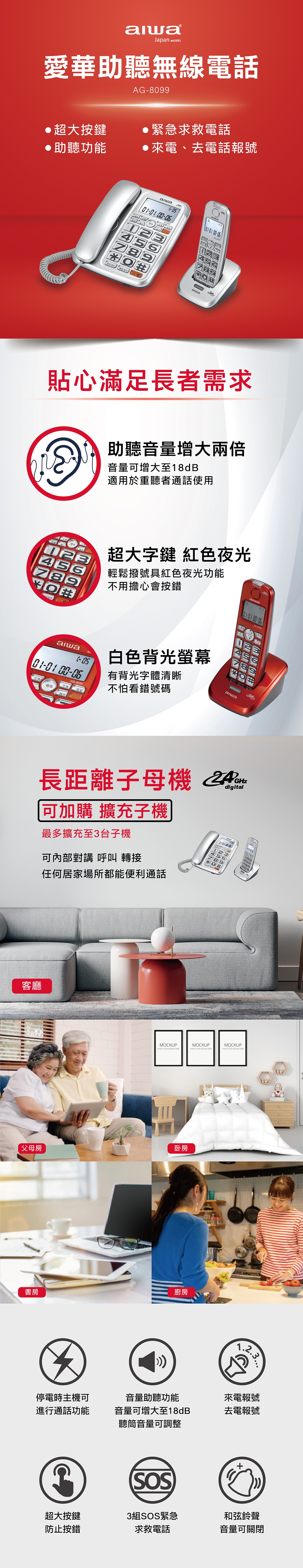 AIWA愛華 AG-8099 - 詳情1