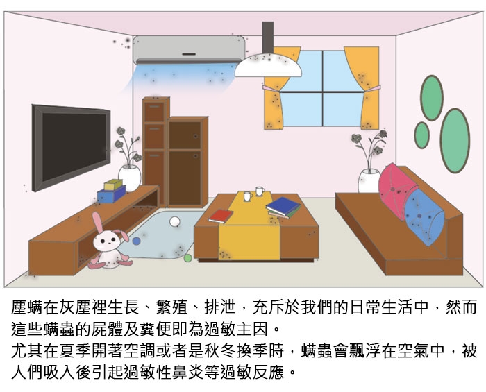 DigiMax UP-142 - 詳情5