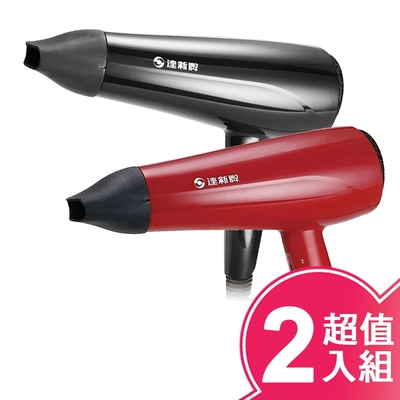 IONIZER達新牌 達新沙龍級專業吹風機(超值2入組) TS-2300