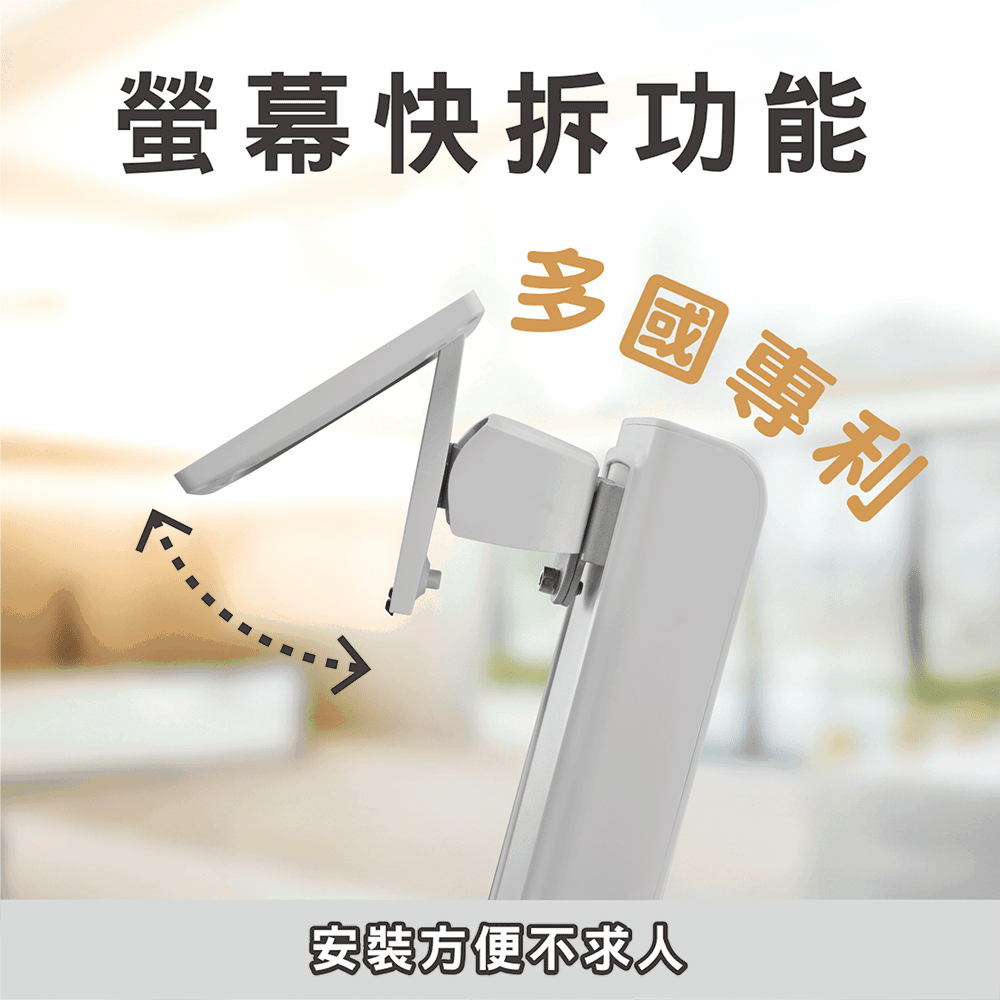 ErgoGrade EGORW10Q - 詳情7