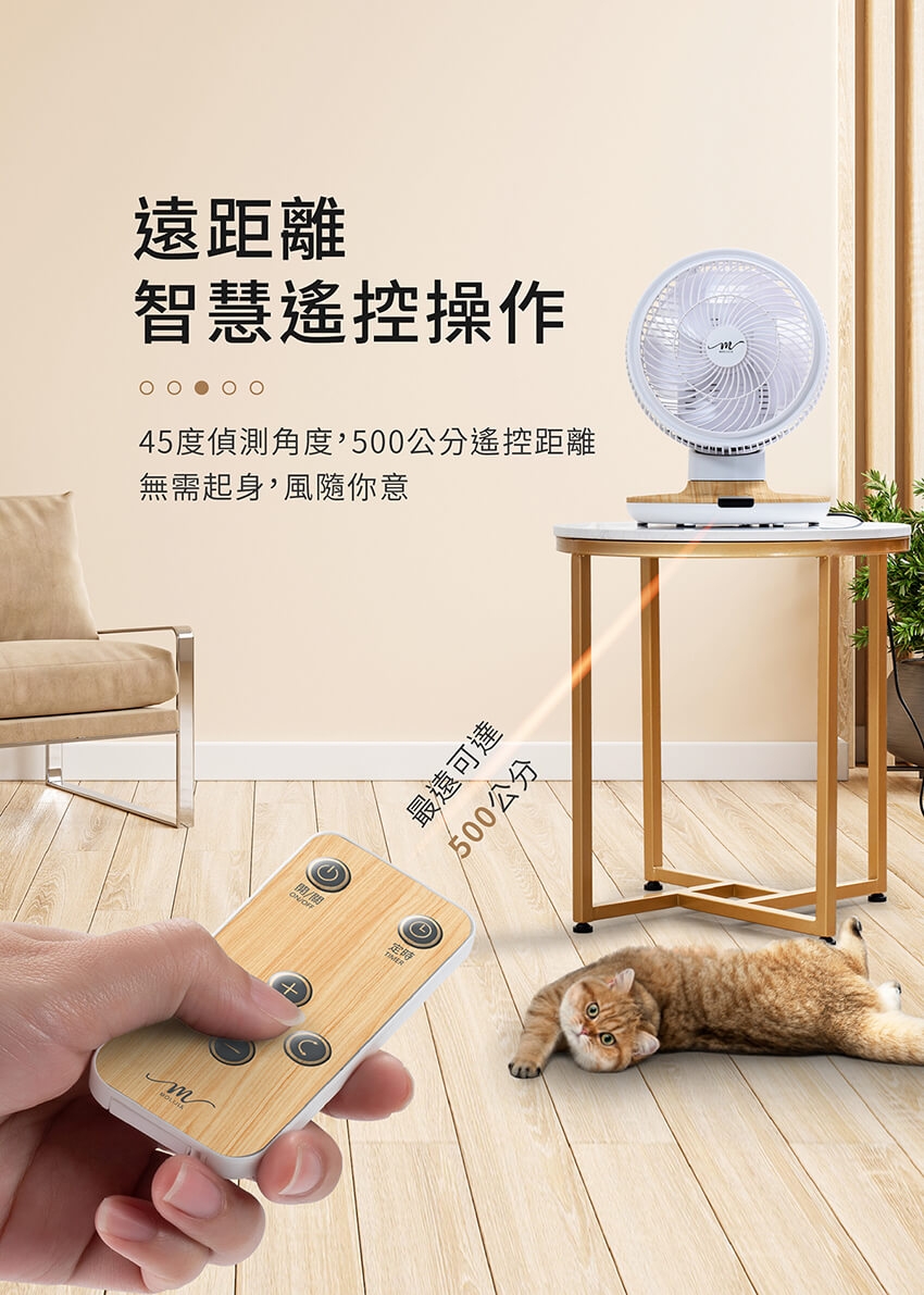 MOLIJIA魔力家 M187 - 詳情12