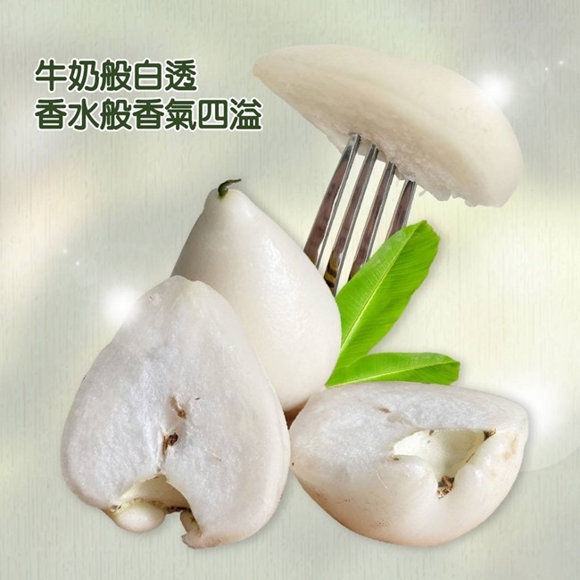 果農直配】屏東林邊貴妃白玉蓮霧大果3.5斤x1盒(每盒14-20顆) | 蕃茄