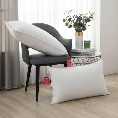 Tonia Nicole 東妮寢飾 調色盤雲朵水洗枕/雲柔防蟎抗菌水洗枕-2入組(多款任選)