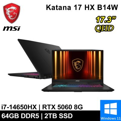MSI微星 Katana 17 HX B14WFK-203TW-SP6 17吋 黑(i7-14650HX/64G/2TB SSD/RTX5060 8G/W11)特仕版