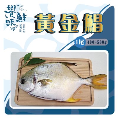 【南縣區漁會 饗鮮味】黃金鯧400-500g -1箱5入