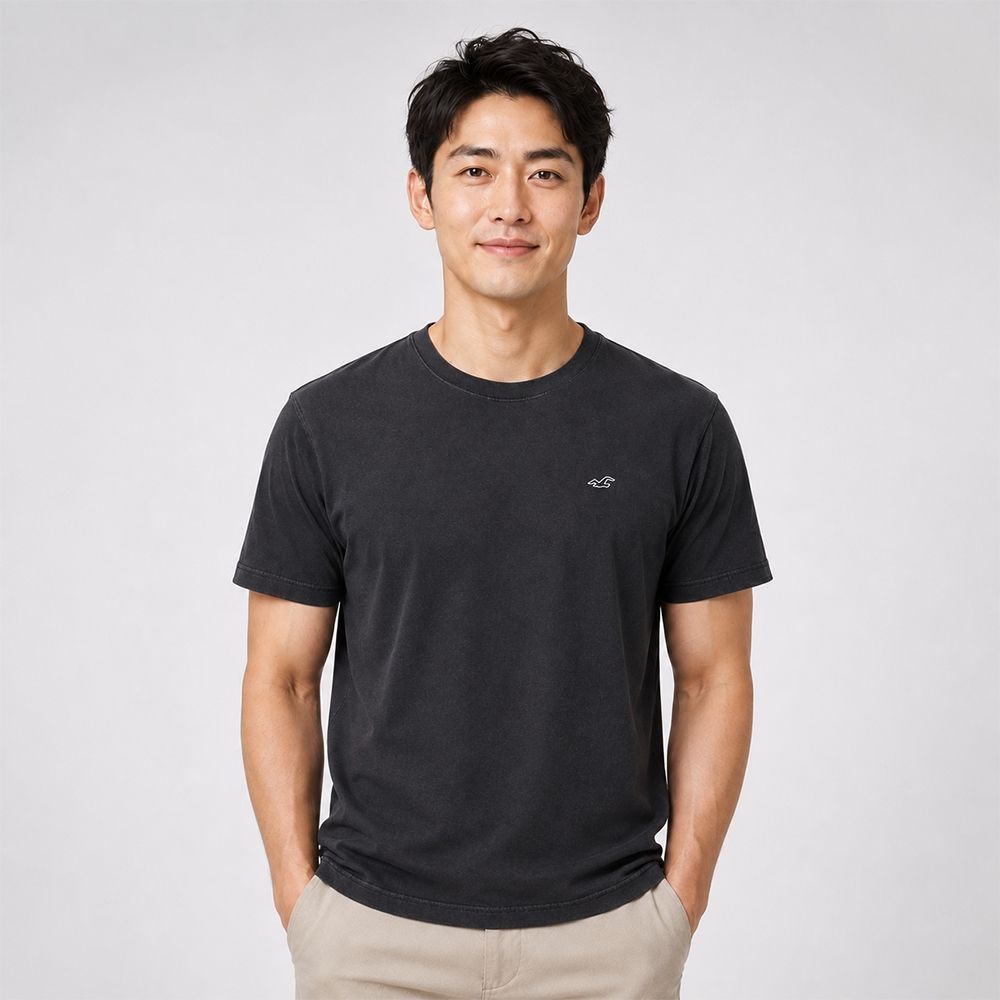 Hollister 海鷗 熱銷刺繡海鷗素面短袖T恤-黑色