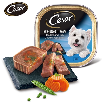 Cesar西莎 風味餐盒 100g*24入 多口味任選 狗罐頭/狗食