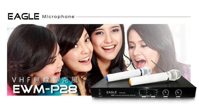 EAGLE EWM-P28 - 詳情2